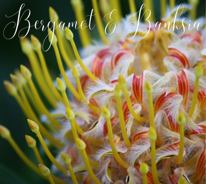 Scent - Bergamot & Banksia